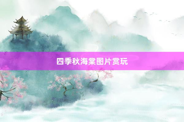 四季秋海棠图片赏玩